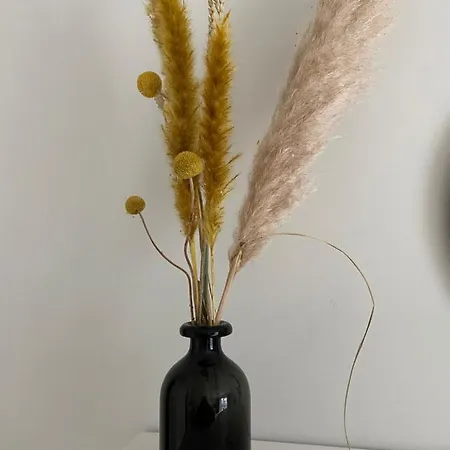 Met Aparte Slaaphoek, Garage En Balkon Апартаменты Миделкерк