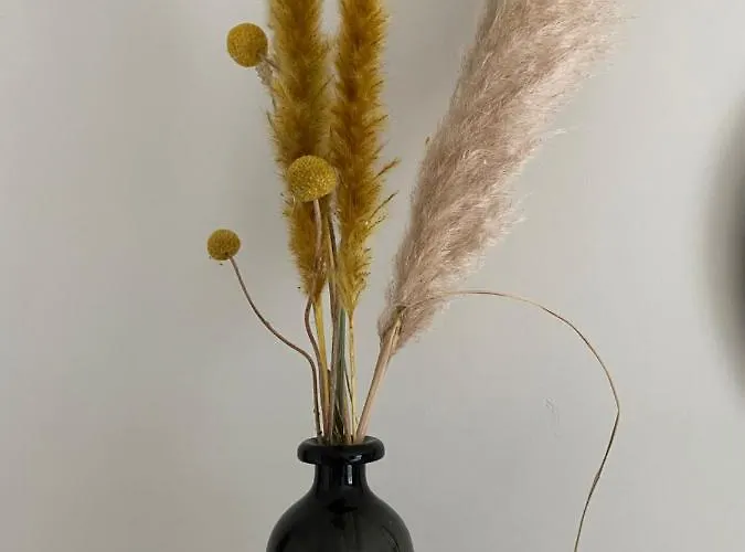 Met Aparte Slaaphoek, Garage En Balkon Apartment Middelkerke